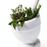 Naturopathy for Beginners: A Holistic Approach to Health-0