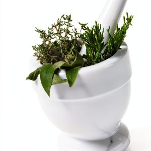 Naturopathy for Beginners: A Holistic Approach to Health-0